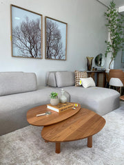 Conj. Mesa de Centro Orgânica - Madeira