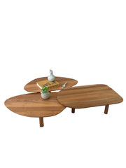 Conj. Mesa de Centro Orgânica - Madeira